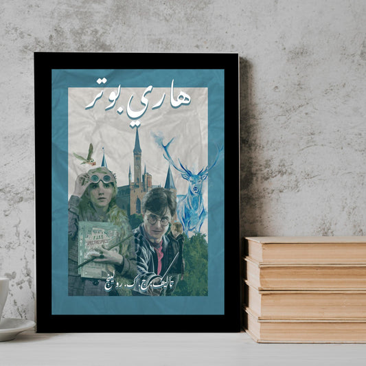 Harry Potter Movie posters Frame