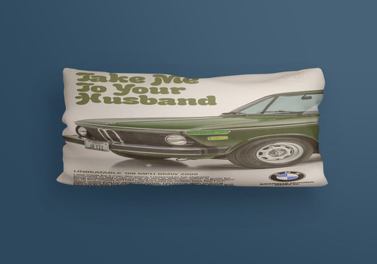 Take Me cars Velvet Cushion